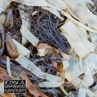 lullahush - Ithaca