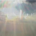 Maria Somerville - Luster (Remixes)