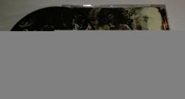 Insanity Deification-Spared by the Gorgons Gaze- SBDC012 -CDEP-FLAC-2025-86D