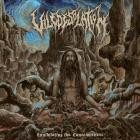 Vile Desolation - Annihilating The Consciousness
