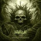 Navalm - Desolated Grave