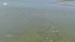 Terra.X.Faszination.Erde.Kasachstan.Die.Steppe.lebt.GERMAN.DOKU.HDTVRip.x264-TMSF