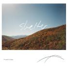 Prymek & Sage - Shelter