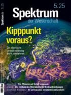 Spektrum Der Wissenschaft 05/2025