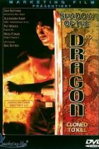 Shadow of the Dragon
