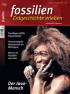 FOSSILIEN - Erdgeschichte erleben 03/2026