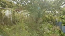 Mein.urbaner.Garten.Zwischen.Blueten.und.Beton.S01E05.Ein.Platz.fuer.Tiere.German.DOKU.WebRip.x264-ATAX