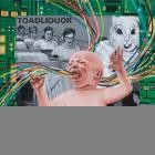 Toadliquor - Back In The Hole