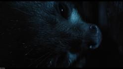 Underdogs.Aussenseiter.des.Tierreichs.S01E01.GERMAN.DL.DOKU.1080p.WEB.h264-HAXE