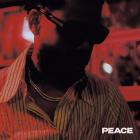 Terrace Martin - PEACE