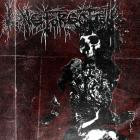 Long Forgotten - Perseverance Forever