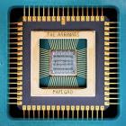 The Arrivals - Payload