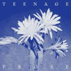 Ghosts & Errors - Teenage Prose