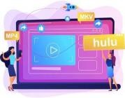 Pazu Hulu Video Downloader v1.3.7