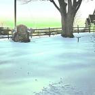 Ben Wolfe - Winter: In Hindsight