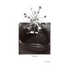 Mute Swan-Skin Slip-16BIT-WEB-FLAC-2026-FLACCiD