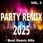 Party Remix 2025 - Best Remix Hits Vol.4