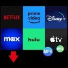 Pazu StreamGet AIO Video Downloader v2.9.1