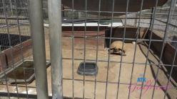 ATKGirlfriends.26.04.04.Nicole.Nichols.Temecula.3.XXX.1080p.MP4-LEWD