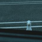 Little By Little & Sav-E - Proper Hammering