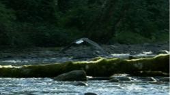 Wildes.Ueberleben.S01E02.Rastlose.Wanderer.German.DOKU.WEB.H264-GWD