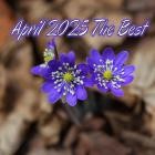 VA - April 2025 The Best