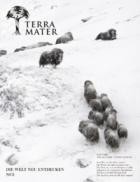 TERRA MATER 02/2025