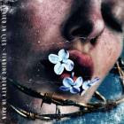 Buried In Lies - Finding Beauty In Pain