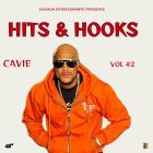Cavie & T Nelson - Hits & Hooks Vol  2