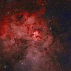 VA - Mutable Minds XI