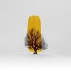 VA - Aureolin Winter