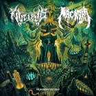 Nucleus Macabra - Fragmented Self