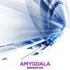 Amygdala - Inspiration
