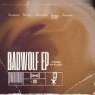Pound of Flesh - Badwolf