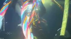 Terra.X.Verschollen.GERMAN.DOKU.HDTVRip.x264-TMSF