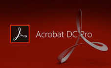 Adobe Acrobat Pro DC 2026.001.21529 (x64)