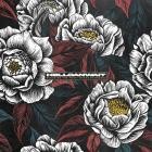 HELL CAN WAIT-Reaching The Point Where Pain Ends-24BIT-48KHZ-WEB-FLAC-2024-FLACCiD