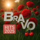 BRAVO Hits (04.06.2025)
