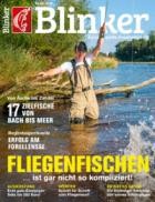 Blinker 06A/2025
