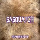 Indigo Syndicate - - Sasquatch  