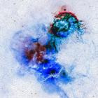 Pfirter - Latent Signal