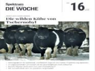 Spektrum Die Woche 16/2026