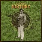 Lapgan - History