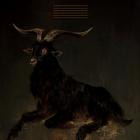 Kovtun - Black Goat