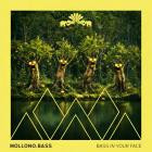 Mollono Bass - Bass In Your Face
