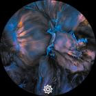 Pyramidal Decode - Radici EP