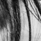 Cara - dritte chance