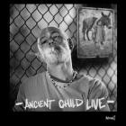 Matisyahu - Ancient Child Live