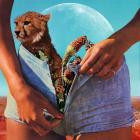 Night Riots-New State Of Mind-16BIT-WEB-FLAC-2019-FLACCiD