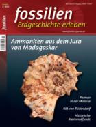 FOSSILIEN - Erdgeschichte erleben 02/2026